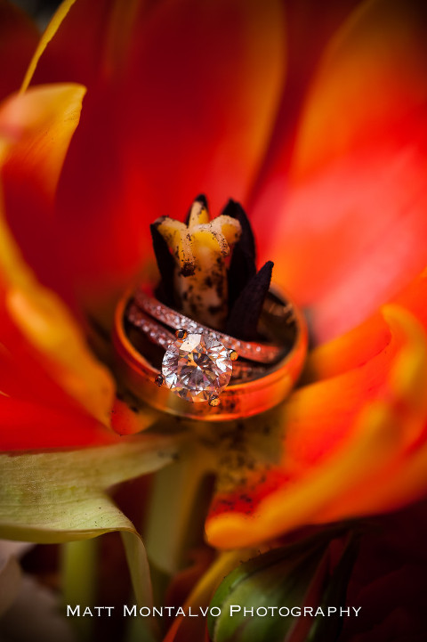 dripping-springs-wedding-photographer