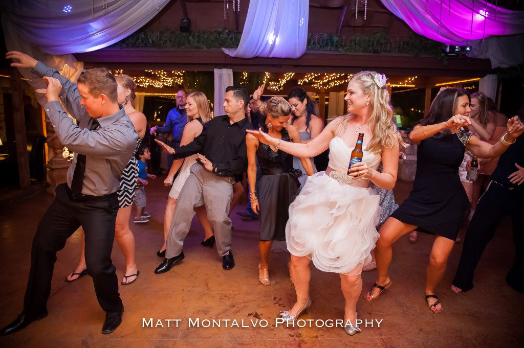 Vista-on-seward-hill-wedding-photography