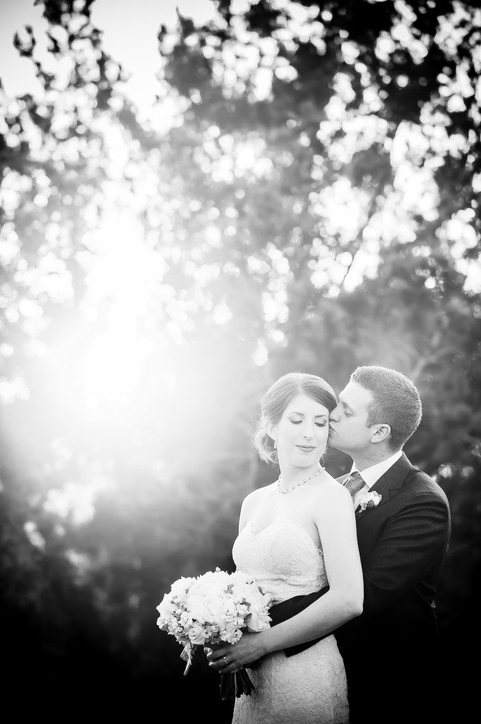 cSZ-Premium-230 copy