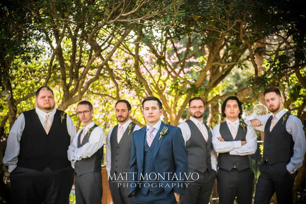 Hummingbird house photography